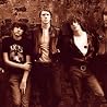 Image of The Pigeon Detectives