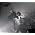 Thumbnail image of A Place to Bury Strangers