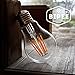 A19 LED Edison Style Bulb - 6W LED Vintage Filament Light Bulb 60W Equivalent - Soft White (2700K) - E26 Base - Non Dimmable - 1 Pack - by BIPEE