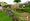Harvest Moon: Tree of Tranquility