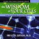 The Wisdom of Your Cells: How Your Beliefs Control Your Biology