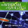 The Wisdom of Your Cells: How Your Beliefs Control Your Biology