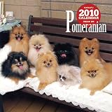 ポメラニアン 2010[カレンダー]