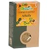 Germline - Graines � germer bio - Alfalfa