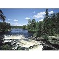 River Rapids Wall Mural