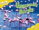 Unusual birds