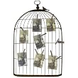 Metal Bird Cage Greeting Card, Photo Display with Clips