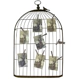 Metal Bird Cage Greeting Card, Photo Display with Clips
