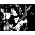 Miniaturansicht von Gary Moore