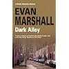 Dark Alley (Hidden Manhattan Mysteries)