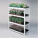 Two Wests 48" Seed Tray Rack With 4 Watertight Trays