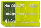 SanDisk SDMSG-1024...