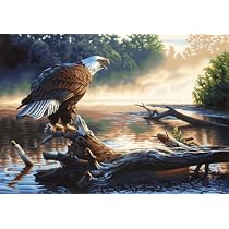 Paint by Number Eagle Hunter