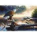 Dimensions PaintWorks/Paint By Number Eagle Hunter