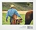 A Life With Horses: Spirit of the Work