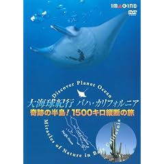 ��C���I�s�o�n�E�J���t�H���j�A ��Ղ̔���!1500�L���c�f�̗� [DVD]