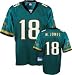 Youth Jacksonville Jaguars #18 Matt Jones Replica Team Color Jersey