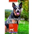 Australian Cattle Dog: Charakter, Erziehung, Gesundheit