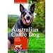 Australian Cattle Dog: Charakter, Erziehung, Gesundheit