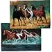 Kitchen & Housewares : RUnning HORSES kitchen table PLACEMATS set 4 reversible