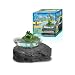 Magic Frog Bowl