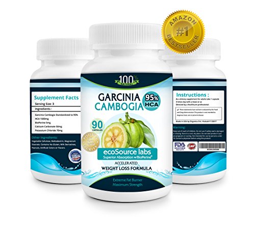 Garcinia Cambogia Extract Extra Strength Fast Release, 95% HCA w/ 5mg BioPerine® Innovative Supplement Formula Made Of Safe Clean Natural Ingredients For A Slim, Fit & Attractive Look