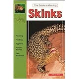 the guide to owning skinks