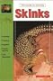 The Guide to Owning Skinks