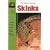 The Guide to Owning Skinks