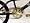 Freestyle BMX Xaxxion 541B