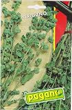 Origano - Oregano Herb Seeds - 250 milligrams