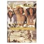 Women of Valor [VHS]