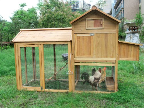 Deluxe Large Chicken Poultry Coop Hen house Hutch Cage 6050-0311L