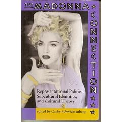 The Madonna Connection: Representational Politics, Subcultural Identities and Cultural Theory (Cultural Studies)