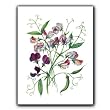 Bluebells - Gift Enclosure Cards (set of 12)