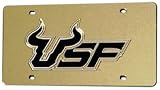 South Florida Bulls Laser Tag