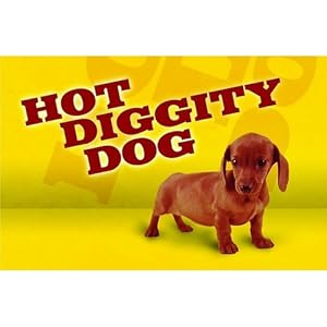 Hot diggity dog food truck image