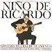An Introduction to the Flamenco Guitar