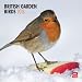 British Garden Birds 2013 Square 12X12 Wall