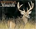 Book Whitetail Monarchs 2008 Calendar
