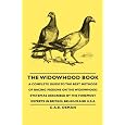 racing pigeons The Widowhood racing pigeons The Widowhood