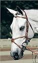 Hunterdon Figure 8 Bridle with Rubber Reins