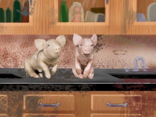 QUACK! Carbs and Lipids ~ DVD