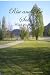 Rise and Be Seen: A book of inspirations by Patricia Sanders
