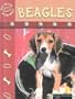 Beagles (Eye to Eye with Dogs)