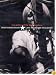 Tom Petty And The Heartbreakers - High Grass Dogs - Live From The Filmore [1999]