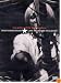 Tom Petty And The Heartbreakers - High Grass Dogs - Live From The Filmore [1999]