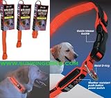 Nite Dawg L.E.D. Collar (Orange) - Large 18- 27