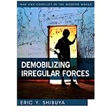 demobilizing irregular forces