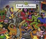 Cruel, Crazy, Beautiful World